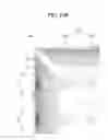 Fig. 22 - Display device having reflecting sheet with plurality of dot areas reducing reflectivity of the reflecting sheet