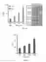 Fig. 04 - Methods for reversible and tunable tissue magnification