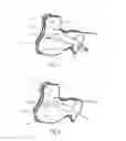 Fig. 02 - System and method for inspecting a structure with coda acoustic waves