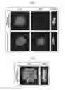 Fig. 02 - Method for evaluating protrusion-forming ability of cell spheroids
