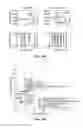 Fig. 35 - COMPOSITIONS, SYSTEMS AND METHODS FOR GENE EXPRESSION NOISE DRUG SCREENING AND USES THEREOF