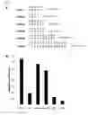 Fig. 02 - Nucleic acids encoding antibodies with high affinity for Alpha-Klotho