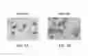 Fig. 02 - METHODS AND SYSTEMS FOR IDENTIFYING AND TREATING ANTI-PROGESTIN SENSITIVE TUMORS
