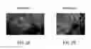 Fig. 03 - METHODS AND SYSTEMS FOR IDENTIFYING AND TREATING ANTI-PROGESTIN SENSITIVE TUMORS