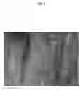 Fig. 06 - Methods for capturing, isolation, and targeting of circulating tumor cells and diagnostic and therapeutic applications thereof