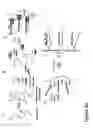 Fig. 42 - Macromolecule analysis employing nucleic acid encoding