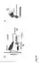 Fig. 59 - Macromolecule analysis employing nucleic acid encoding