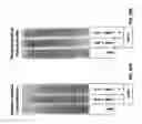 Fig. 22 - Methods for testing effectiveness of a von Willebrand factor used in treating von Willebrand disease (VWD)
