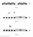Fig. 08 - Black matrix layer having micro-grooves, display substrate, and display apparatus