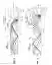Fig. 03 - Molded light guide for optically coupling light from LEDs