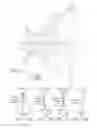 Fig. 07 - Optical imaging lens