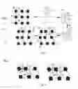 Fig. 04 - Ophthalmic lens integrating a disordered array, transparent active matrix