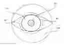 Fig. 01 - Saccade and vergence tracking for distance auto focus adjustment