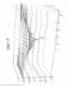 Fig. 16 - Backlight device, and display apparatus including same