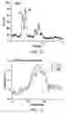 Fig. 08 - ELECTROCHROMIC ELECTRODES AND METHODS OF MAKING AND USE THEREOF