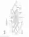 Fig. 24 - Image forming apparatus having a drawer including an exposure head