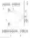 Fig. 32 - Methods and systems for data collection in a chemical or pharmaceutical production process with haptic feedback and control of data communication