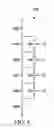 Fig. 04 - Adaptive body bias for voltage regulator