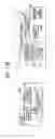 Fig. 20 - Shared terminal, communication system, image transmission method, and recording medium