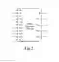 Fig. 03 - Segment divider, segment division operation method, and electronic device