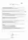 Fig. 15 - Fluid timeline social network