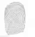 Fig. 01 - Fingerprint image recognition method, apparatus and terminal