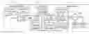 Fig. 01 - USER SPECIFIC CLASSIFIERS FOR BIOMETRIC LIVENESS DETECTION