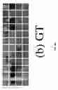 Fig. 09 - 