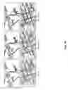 Fig. 18 - 