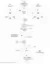 Fig. 01 - Neural network architecture using convolution engines