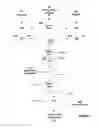 Fig. 04 - Neural network architecture using convolution engine filter weight buffers