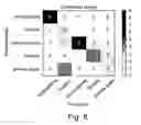 Fig. 09 - Matching network for medical image analysis