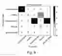 Fig. 10 - Matching network for medical image analysis