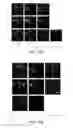 Fig. 17 - SELF-CRITICAL SEQUENCE TRAINING OF MULTIMODAL SYSTEMS