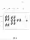 Fig. 07 - Systems and methods for object detection, tracking, and motion prediction