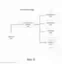 Fig. 07 - Systems and methods for dynamically inserting content item slots in an information resource
