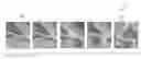 Fig. 01 - Hybrid and self-aware long-term object tracking