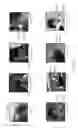 Fig. 11 - Systems and methods for gaze tracking from arbitrary viewpoints