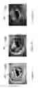Fig. 08 - SYSTEMS AND METHODS FOR LIGHTING IN RENDERED IMAGES