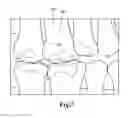 Fig. 04 - Estimated 3D Models Of Interior Structures