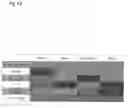 Fig. 45 - System and method for optimizing a facial recognition-based system for controlling access to a building