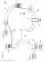 Fig. 08 - Touchpoint-dependent transactions
