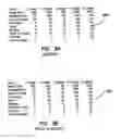 Fig. 06 - System and method of conducting games or betting as a proxy, with ease of access