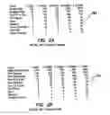 Fig. 03 - System and method of conducting games or betting as a proxy, with ease of access