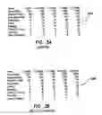 Fig. 06 - System and method of conducting games or betting as a proxy, with ease of access