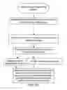 Fig. 13 - System and method of conducting games or betting as a proxy, with ease of access
