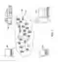 Fig. 02 - Accident prevention device