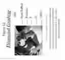 Fig. 13 - METHOD OF TRACKING AND ASSOCIATING PERSONAL AND HISTORICAL INFORMATION REGARDING A PIECE OF JEWELRY