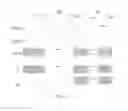 Fig. 04 - Detection method of pixel circuit comprising verifying phase, driving method of display panel, display device and pixel circuit