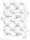 Fig. 11 - Display device for performing internal compensation of a pixel